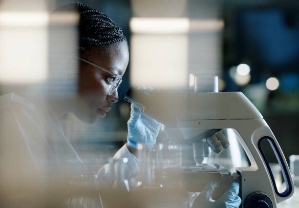 Scientist analysing diagnostic samples at Venkateshwara Diagnostics